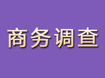 松潘商务调查